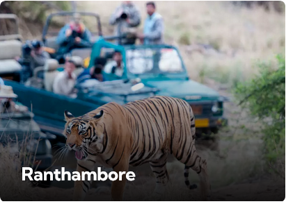 Ranthambore
